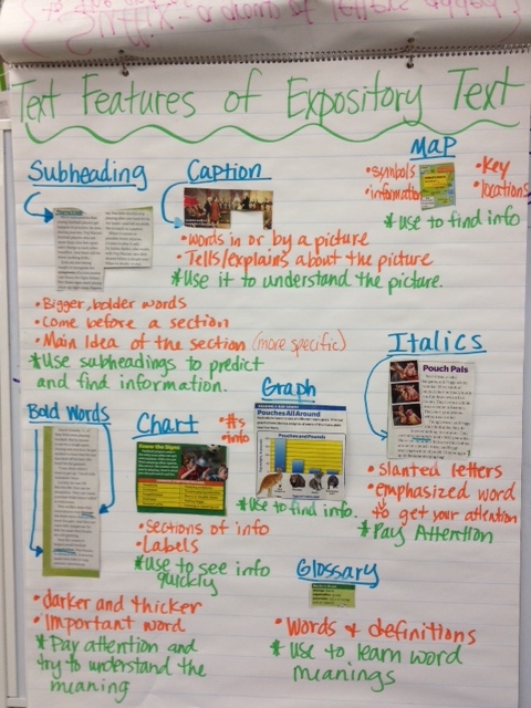 What are some examples of expository fiction?